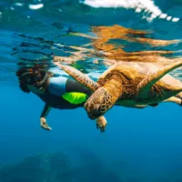 tortuga snorkelling (1)